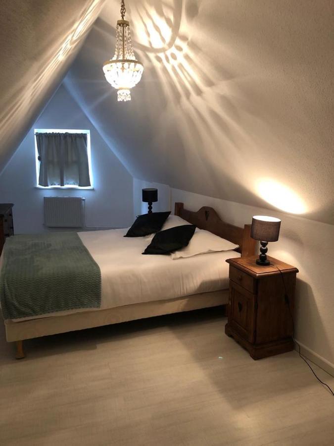 Les Appartements Du Koifhus Colmar Esterno foto