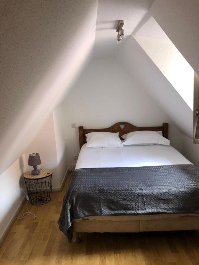 Les Appartements Du Koifhus Colmar Esterno foto